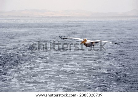 A lone pelican flies over the sea waves. Distant mountains are in the background.