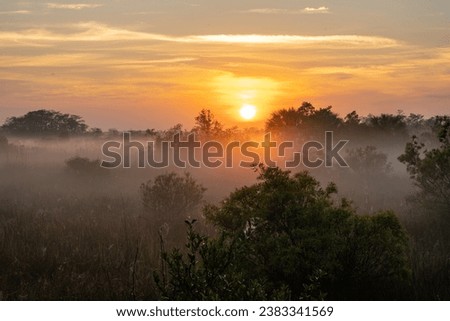 Bright Orange Sun Rises Over Foggy Morning In The Everglades National Park Royalty-Free Stock Photo #2383341569
