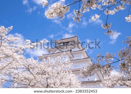 Tsuruga Castle in spring, Fukushima Prefecture
