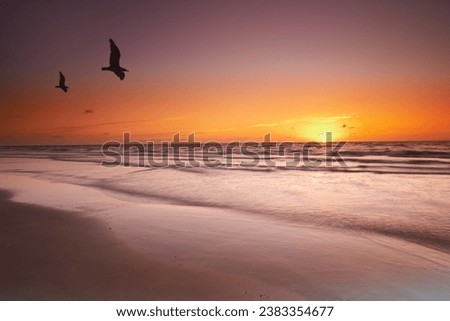Seascape and landscape of a golden sunset on the west coast of Jutland in Loekken, Denmark. Beautiful cloudscape on an empty beach at dusk. Birds flying over the ocean in the evening with copyspace