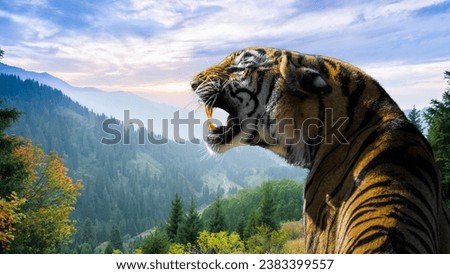 A majestic tiger stands on top of a mountain, surveying its domain. This image is perfect for nature lovers, wildlife enthusiasts, and anyone who appreciates the beauty of the natural world. Royalty-Free Stock Photo #2383399557