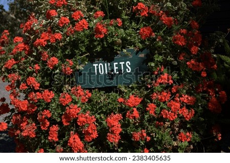 Toilet or bathroom sign in flowers