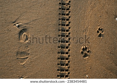 Three different tracks in the sand on Keramoti beach, Greece
