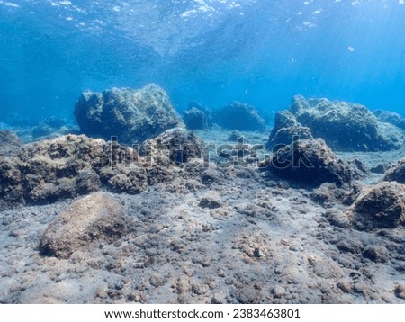 Underwater pictures, diving pictures, blue ocean snorkel Royalty-Free Stock Photo #2383463801