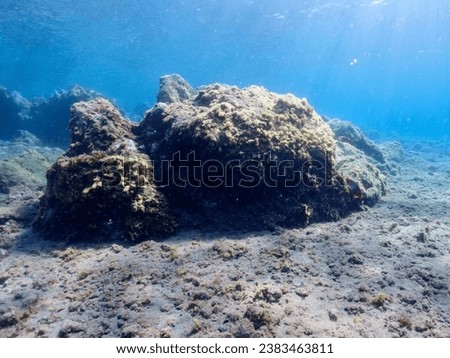 Underwater pictures, diving pictures, blue ocean snorkel Royalty-Free Stock Photo #2383463811