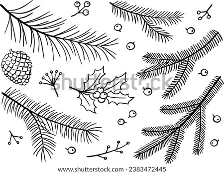 Hand-drawn winter branches and berries