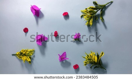 beautiful, colorful flowers scattered in a calm background. various kinds of flowers neatly arranged