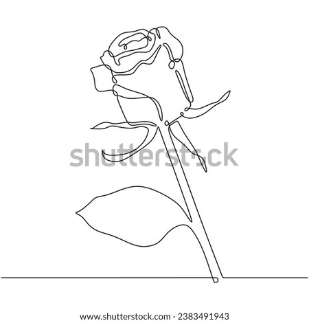 Rose one continuous line drawing. Botanical plant concept. Vector illustration isolated. Minimalist design handdrawn.