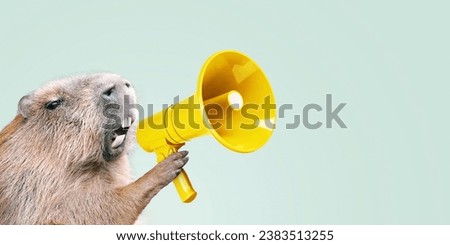 Creative boss capybara holds a yellow loudspeaker in his paw and screams, concept. Advertising and management, creative idea.