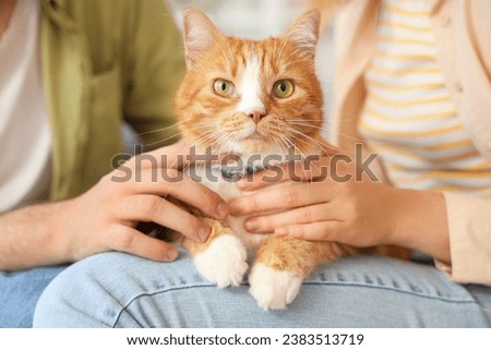 Young couple with cute cat sitting at home, closeup