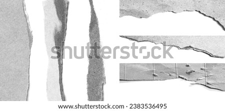 ripped paper on white background and have copy space for design