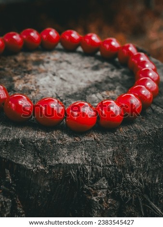 traditional Ukrainian red coral necklace Royalty-Free Stock Photo #2383545427