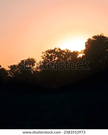 "A Breathtaking and Peaceful Sunset Picture"