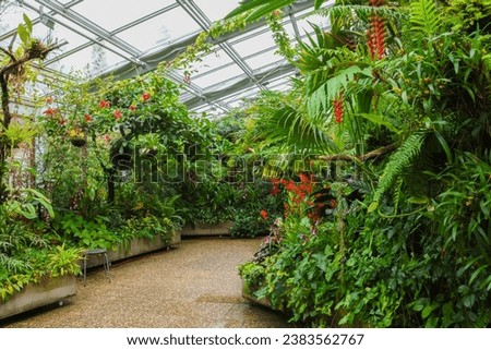 Tropical greenhouse in the Botanical Garden Hannover, Germany Royalty-Free Stock Photo #2383562767