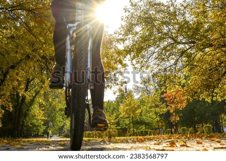 Autumn park and bicycle in the sun in the foreground