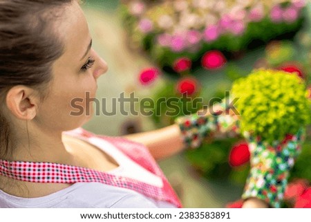  Female model is taking care of flowers in garden or greenhouse. Gardener is happy for results. 
