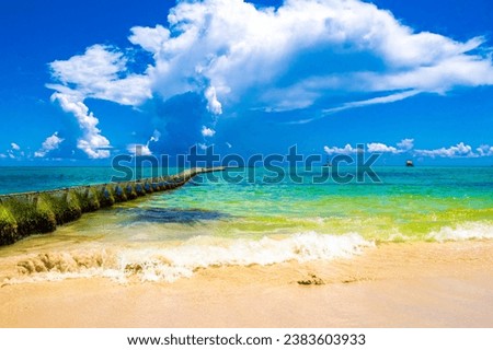 Tropical mexican caribbean beach and sea with Sargazo seaweed sea weed net rope and buoys  in clear turquoise blue water in Playa del Carmen Mexico.