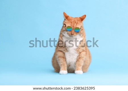 Cute ginger cat in stylish sunglasses on light blue background