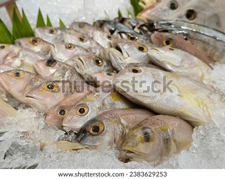 Fresh fishes sell in the supermarket