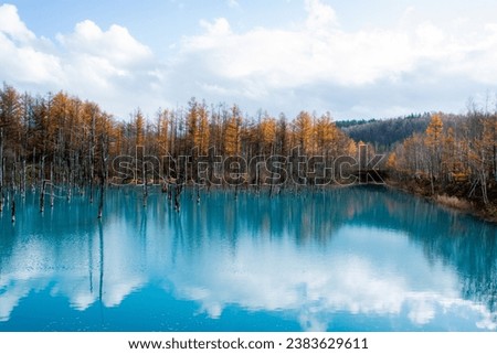 Blue pond in the autumn forest with reflection of the sky and clouds. in Biei, Hokkaido, Japan