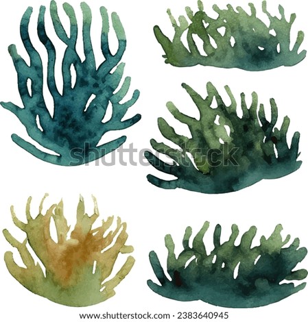Watercolor illustration set of seaweed