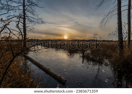 Ecotrope "Sestroretsk swamp", Sestroretsk , St Petersburg, Russia, autumn 