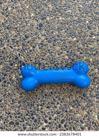 A Blue dog toy bone