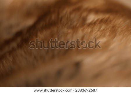 A faux fur blanket closeup picture for texture