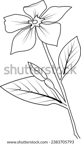 outline periwinkle drawing, periwinkle flower line drawing, clip art periwinkle flower outline, noyontara coloring pages for kids, step by step periwinkle flower drawing