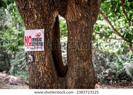 A large indian almond tree with a sign for forest music policy on it