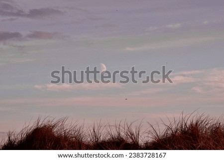 Hilly meadow at with moon, clouds and grass. grass, beautiful sky, the moon beautifully illuminates everything around