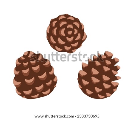 Set of pine cone. Hand-drawn colored flat vector illustration isolated on white background.