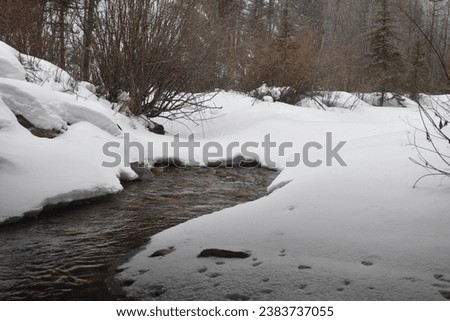 Frozen River in Colorado Winter