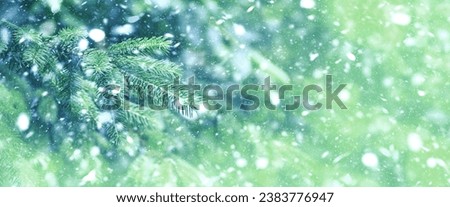 Christmas winter background with snow and blurred bokeh.Merry christmas and happy new year greeting card. Frozen winter forest.  Snow-covered branches of a Christmas tree. Close-up.