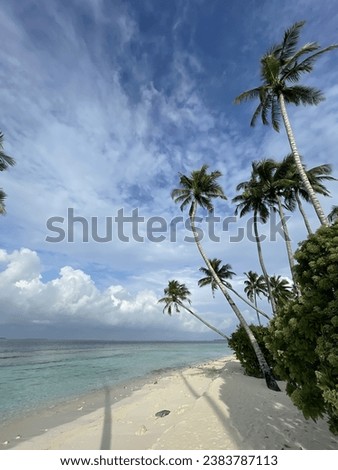 Tropical island by the ocean and sands, walking at the beach