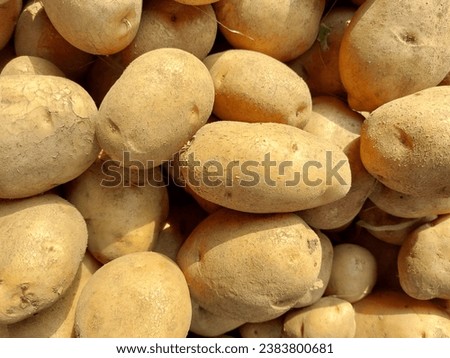 Potatoes are a type of root vegetable that is rich in nutrients and has various health benefits. I took this picture of potatoes at the traditional market. 