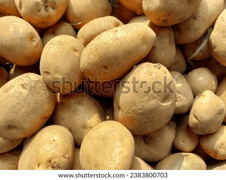 Potatoes are a type of root vegetable that is rich in nutrients and has various health benefits. I took this picture of potatoes at the traditional market. 