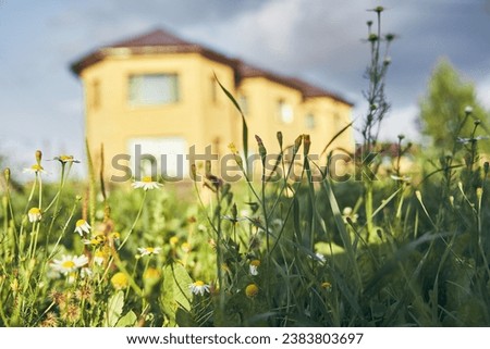 Selective focus on the grass in close-up, with a stone house with rounded corners in the background. The concept of country life. High quality photo