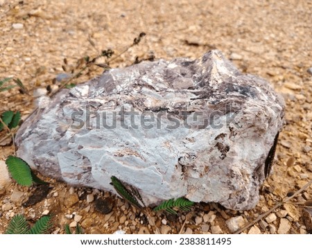 Pictures of beautiful stones in the stone courtyard, brown, cream, gray, black, eggshell, and patterns that occur naturally.