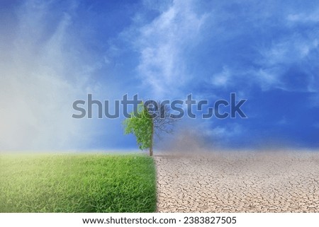 The dead tree in the arid land with air pollution compare with the growth tree in the fertile land.The Environmental impacts from human actions.Global warming,climate change,greenhouse effect concept. Royalty-Free Stock Photo #2383827505
