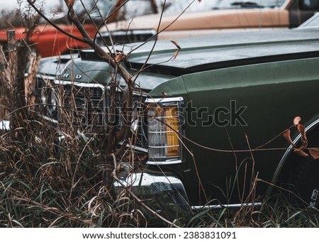 old rusted cars and trucks