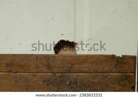I really like this picture. Mouse holes are trying to bite my door. Even though I covered it with a stick It was a good effort by them. But I'm tired of them.