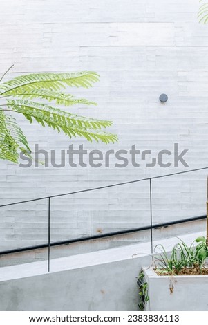 Modern minimalist accessible stairs with black metal railing and a Dwarf Umbrella Tree on an architecture building