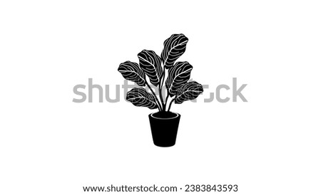 Calathea Plant in Pot, black isolated silhouette Royalty-Free Stock Photo #2383843593