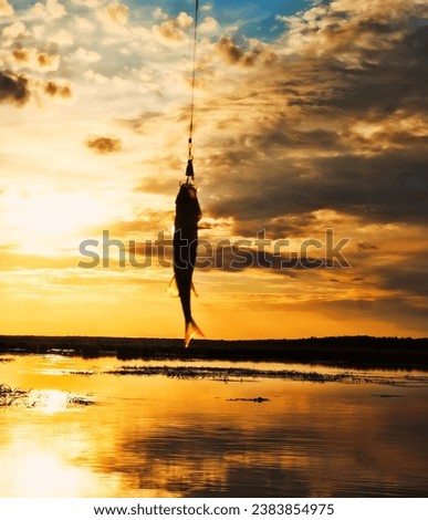 Fishing at sunset. Catching predatory fish on spinning. Sunset colors on the water surface, sunny path from the low sun. Perch caught on yellow spoonbait Royalty-Free Stock Photo #2383854975