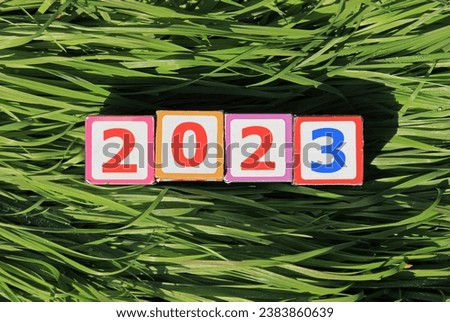 Inscription 2023. Toy square cubes and numbers on green surface of wavy grass, that means coming New Year Eve. Christmas, holidays, celebration concept. New Year of 2023, year of black water rabbit