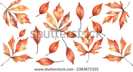 Autumn leaves vector illustration featuring vibrant fall foliage. Artistic watercolor drawing with bright, colorful leaves from maple, oak, and birch trees. Ideal for seasonal, festive, holiday themes