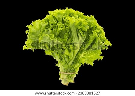 lettuce, food, isolated, salad, vegetable, green, leaf, fresh, healthy, white, organic, vegetarian, diet, ingredient, freshness, raw, plant, leaves, cabbage, health, vitamin, vegetables, white backgro Royalty-Free Stock Photo #2383881527