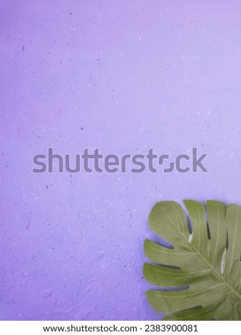 Beautiful purple nature minimal composition. Green monstera leaf grass texture background. Springtime concept.
Cosmetics product advertising backdrop. Flat lay aesthetic top view copy space.