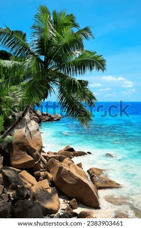 Palm tree at Anse Patates Beach, Island La Digue, Republic of Seychelles, Africa.
Anse Patates Beach is situated in the north of Island La Digue. Royalty-Free Stock Photo #2383903461
